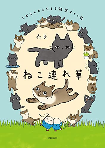 ねこたろう　名進研テキストおまとめ 送達ねこ on X: 